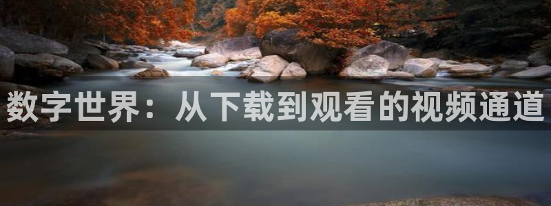 被窝秋霞电影网：数字世界：从下载到观看的视频通道