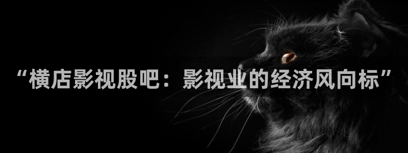 被窝私人影院：“横店影视股吧：影视业的经济风向标”