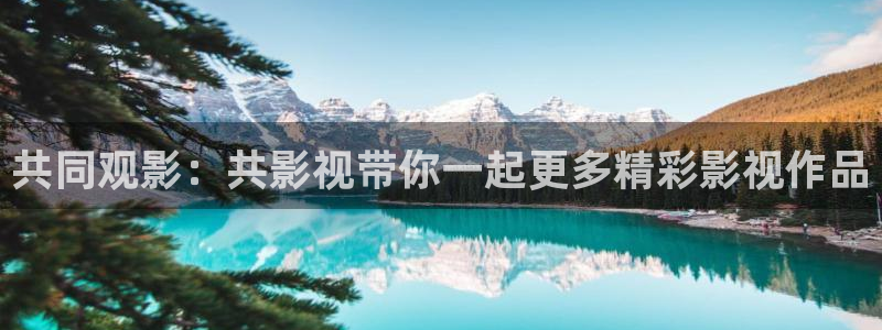 午夜被窝电影网：共同观影：共影视带你一起更多精彩影视作品