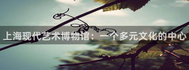 被窝福利电影：上海现代艺术博物馆：一个多元文化的中心