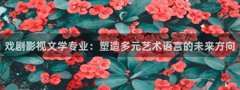 被窝电影福利电影：戏剧影视文学专业：塑造多元艺术语言的未来方向