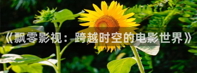 宅男被窝视频在线观看