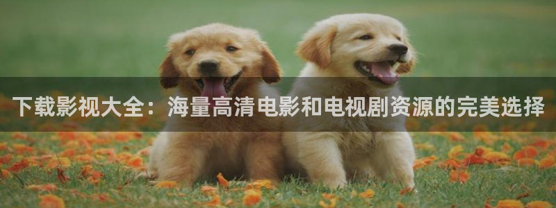 被窝私人影院：下载影视大全：海量高清电影和电视剧资源的完美选择