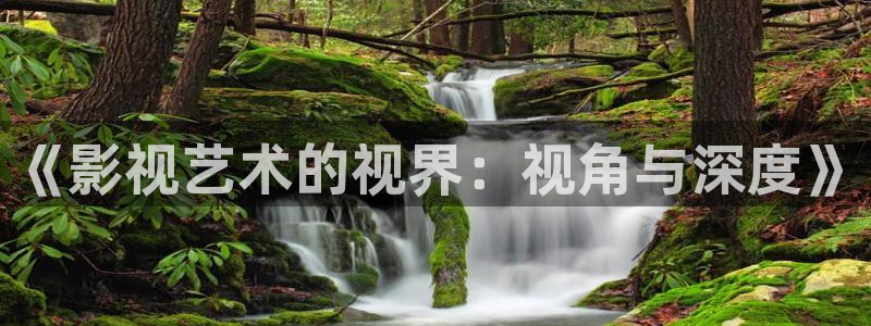 神马被窝影院：《影视艺术的视界：视角与深度》