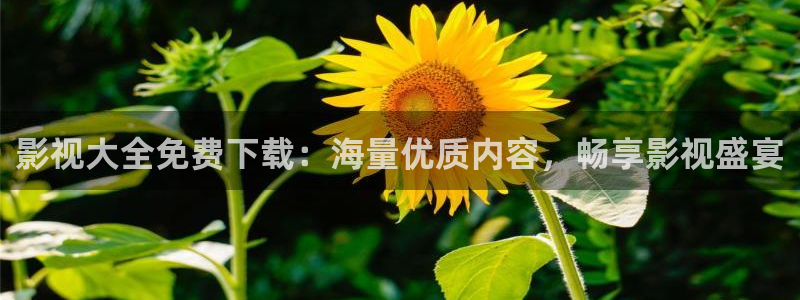 韩国电影被窝