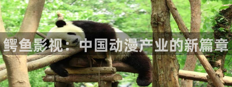 午夜被窝福利影院：鳄鱼影视：中国动漫产业的新篇章